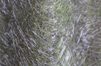 Levels Green fibreglass roof work